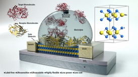 Concept art of a molybdenum disulfide field-effect transistor based biosensor demonstrated by UCSB researchers with ability to detect ultra-low (femtomolar) concentrations with high sensitivity that is 74-fold higher than that of graphene FET biosensors.
Photo Credit: Peter Allen