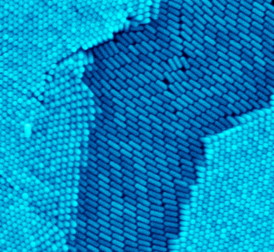 Because gold nanorods are longer than they are wide, 3-D nanorod supercrystals have "anisotropic" properties, which means they have a different response to external fields in one direction than another.
CREDIT: E. Zubarev/Rice University