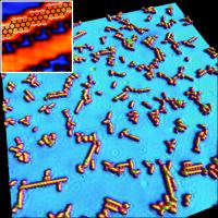 Graphene nanoribbons are fabricated by molecular assembly on a Cu(111) substrate. On this surface system, GNRs on grow in six azimuthal directions exclusively. White lines in the inset highlight the zigzag edges of a ribbon.

Credit: Patrick Han