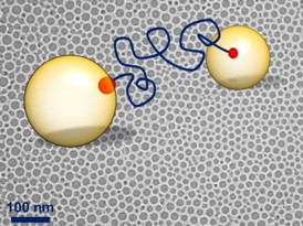 This image depicts a nanoemulsion being used to template sophisticated materials
Photo Credit: Matthew Helgeson