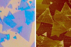 The MIT researchers deposited triangular layers of molybdenum disulfide on a silicon substrate. At left, regions highlighted in blue indicate where the layers overlap.

Courtesy of the researchers