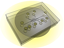 This illustration shows the design of a new chip capable of simulating a tumor's "microenvironment" to test the effectiveness of nanoparticles and drugs that target cancer. The new system, called a tumor-microenvironment-on-chip device, will allow researchers to study the complex environment surrounding tumors and the barriers that prevent the targeted delivery of therapeutic agents. Purdue University photo/Altug Ozcelikkale, Bumsoo Han