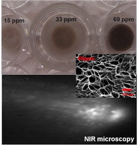 Three images reveal the details of heart-defect patches created at Rice University and Texas Childrens Hospital. At top, three otherwise identical patches darken with greater concentrations of carbon nanotubes, which improve electrical signaling between immature heart cells. At center, a scanning electron microscope image shows a patchs bioscaffold, with pores big enough for heart cells to invade. At bottom, a near-infrared microscopy image shows the presence of individually dispersed single-walled nanotubes. Credit: Jacot Lab/Rice University