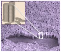 Vertical nanopillars are ideal geometries for getting around the challenges of producing polymer architecture to boost power-conversion efficiency of light to electricity to power electronic devices.

Credit: UMass AMherst