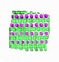 Transmission electron microscope (TEM) tomography provides a nanoscale, 3-D visualization of the structure of a templated block copolymer. The purple features are silica posts fabricated by electron-beam lithography that direct the self-assembly of the copolymer. The material self-assembles to form two orthogonal layers of cylinders (green).

Credit: Winterstein/NIST
