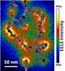 EELS image showing the spatial distribution of electrons confined along a chain of gold nanoparticles.  E. Dujardin (CEMES, CNRS)