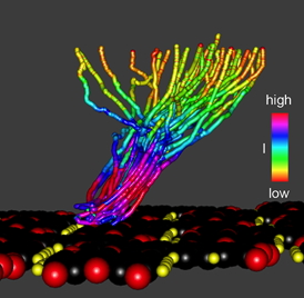 Aufzeichnung der erfolgreichen Durchgnge zeigt.Entwined ways out: The molecules can be extracted by peeling them from the layer, as shown by this image of the successful trajectories required to write 'JLICH'.
Copyright: Forschungszentrum Jlich 