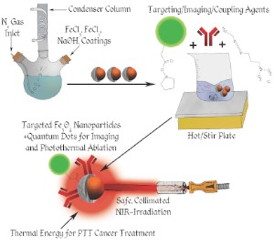 Schematic of nanoparticle construction.Photo By: Andrew Dunn