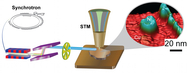 The synchrotron X-ray scanning tunneling microscopy concept allowed Argonne National Laboratory and Ohio University researchers to achieve a recording-breaking resolution of a nanoscale material. They combined of a synchrotron X-ray as a probe and a nanofabricated smart tip as a detector to fingerprint individual nickel clusters on a copper surface at a two-nanometer resolution and at the ultimate single-atomic height sensitivity. And by varying the photon energy, researchers successfully measured photoionization cross sections of a single nickel nanocluster  opening the door to new opportunities for chemical imaging of nanoscale materials.