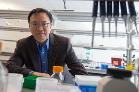 Gang Bao will bring his expertise in precision genome engineering, nanotechnology and molecular imaging to Rice's Department of Bioengineering through a grant from the Cancer Prevention and Research Institute of Texas. Credit: Jeff Fitlow/Rice University