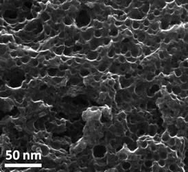 A scanning electron microscope image shows the fine pores in a carbon material created at Rice University to capture carbon dioxide from production streams at natural gas wellheads. The material sequesters carbon dioxide molecules at normal wellhead pressures and lets them go when the pressure is released. Credit: Tour Group/Rice University