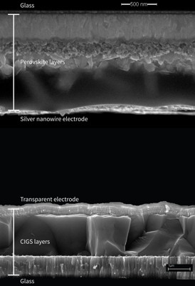 This is a microscopic cross-section of a tandem solar cell made with two photovoltaic materials, perovskite and copper indium gallium diselenide, or CIGS.
CREDIT: Colin Bailie, Stanford University