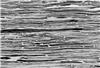Structure of the nacre-mimetic material as visualized by electron microscopySource: P. Das / DWI