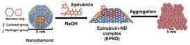 This is a schematic model showing surface and chemical structure of nanodiamond (ND) and Epirubicin (Epi), synthesis and aggregation of Epirubicin-ND complex (EPND). ND represented in truncated octahedron structure with different surface charge denoted with color. ND surface functional group indicated, including benzene ring, carboxyl group and hydrogen group. Molecular skeleton representing carbon, oxygen and Nitrogen atoms in Epi molecule was shown in red.
CREDIT: National University of Singapore