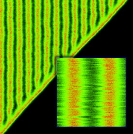 Computer simulations, carried out at the Institute of Physical Chemistry of the Polish Academy of Sciences in Warsaw, Poland, shows the formation of periodic variations -- Turing patterns -- in the concentrations of two main chemical compounds. One cycle of concentration changes may occur in a section of just 20 atoms or molecules.
CREDIT: IPC PAS