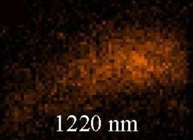 Confocal microscopy confirmed that the nonlinear optical properties of metamaterials can be predicted using a theory about light passing through nanostructures.
CREDIT: courtesy of Xiang Zhang, Berkeley Lab