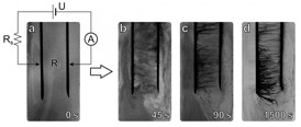 These are consecutive snapshots of the sample illustrating the formation of nanotube chains. The distance between electrodes is 1 cm, applied voltage is 400 V, and the series resistor is 100 MOhm. Panel (a) demonstrates the photograph of the ER fluid before the voltage is applied and the schematic of the experimental setup. The following photographs are taken after 45, 90, and 1500 seconds of interaction with the electric field. Originally printed in Scientific Reports, 5, article number 8323, doi 10.1038/srep08323. Reprinted with the permission of the authors.
CREDIT: University of Illinois