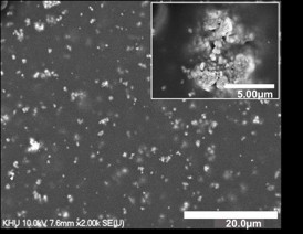 This electron microscope image shows tiny nanoparticles of bismuth ferrite embedded in a polymer film. The film enhances the unique electric and magnetic properties of bismuth ferrite and preserves these properties even when bent.
CREDIT: YoungPak Lee/ Hanyang University