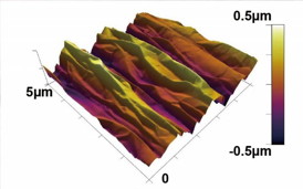 This is an atomic force microscopy image of shrink-induced crumpling/texturing of graphene.
CREDIT: SungWoo Nam