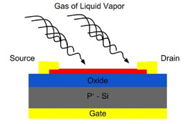 This is a schematic of the molybdenum disulfide (MoS2) thin-film sensor with the deposited molecules that create additional charge.
CREDIT: UC Riverside