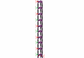 In the new method for building nanotubes, blocks tagged with a fluorescent dye are incorporated step by step, enabling researchers to monitor formation of the structures as they are constructed. CREDIT: Graham D. Hamblin 