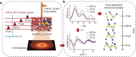 a, The photochemical reaction of solutes supplied by a liquid-flowing system is triggered by a femtosecond optical laser pulse. Subsequently, a time-delayed X-ray pulse synchronized with the laser pulse probes the structural dynamics of the reaction. The scattering pattern is detected by a fast two-dimensional charge-coupled device detector as shown at the bottom. We measure time-resolved scattering patterns while varying the time delay between the laser and X-ray pulses. b, By integrating the two-dimensional scattering pattern azimuthally, subtracting solvent contributions, performing a Fourier transform and compensating for the depletion of the initial solute contribution due to photochemical reaction, we obtain one-dimensional RDFs in real space as shown in the plot at the top left. These display the interatomic distances of transient species and products. In this way, Au-Au bond lengths of the [Au(CN)2-]3 complex can be identified with sub-ngstrm accuracy, and the time-dependent structural changes of the metal complex can be determined in real time.
CREDIT: Center for Nanomaterials and Chemical Reactions, Institute for Basic Science (IBS)