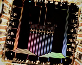 This is a photograph of the nine qubit device. The device consists of nine superconducting 'Xmon' transmons in a row. Qubits interact with their nearest neighbors to detect and correct errors.
CREDIT: Julian Kelly