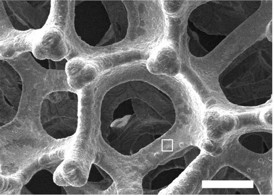 A scanning electron microscope image shows the porous structure of the nickel foam used to make UNSW Australia's inexpensive and efficient oxygen-producing electrode. The foam has holes in it about 200 micrometers across (Scale bar is 200 micrometers)
CREDIT: UNSW Australia