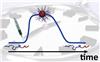 Programmed with a self-destruction mechanism: Scientists at DWI  Leibniz Institute for Interactive Materials can program self-assembly, lifetime and degradation of nanostructures, consisting of single polymer strands. The process is initiated by adding a base. It then runs autonomously, regulating itself. Source: Thomas Heuser /DWI