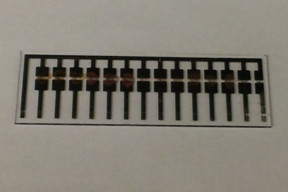 This MIT device, based on modified carbon nanotubes, can detect amines produced by decaying meat.

Photo: Sophie Liu