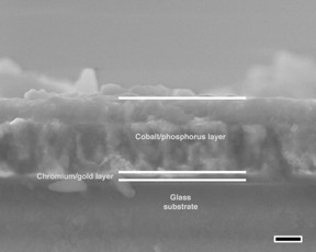 A side view of a porous cobalt phosphide/phosphate thin film was created at Rice University. The robust film could replace expensive metals like platinum in water-electrolysis devices that produce hydrogen and oxygen for fuel cells. The scale bar equals 500 nanometers.
CREDIT:Tour Group/Rice University