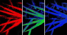 Chemical phase map shows how the electrochemical discharge of iron fluoride microwires proceeded from 0 percent discharge (left), to 50 percent (middle), to 95 percent (right).
CREDIT: Image provided by Linsen Li