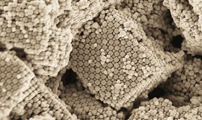 Controlling the self-assembly of nanoparticles into superlattices is an important approach to build functional materials. The Brookhaven team used nanosized building blocks�cubes or octahedrons�decorated with DNA tethers to coordinate the assembly of spherical nanoparticles coated with complementary DNA strands.