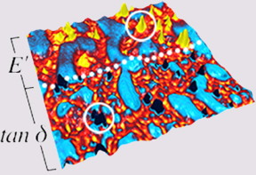 he bulk properties of polymer blends are determined by the amount, distribution, and properties of their components. This sample is a blend of natural rubber, polybutadiene rubber, and zinc oxide. The elastic response distinguishes all three materials, but the zinc oxide inclusions (circles) stand out more clearly by their much lower loss tangent, 5 μm scan. Images courtesy of Dr. Anna Kepas-Suwara, Tun Abdul Razak Research Centre, UK.