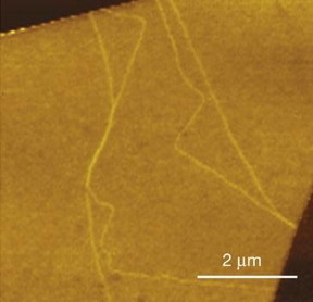 In this near-field infrared nanoscopy image of bilayer graphene, domain walls are revealed by bright lines that arise because of the walls' local electronic structures and IR responses.
CREDIT: Image courtesy of Feng Wang, Berkeley Lab