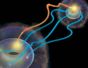 In superdense teleportation of quantum information, Alice (near) selects a particular set of states to send to Bob (far), using the hyperentangled pair of photons they share. The possible states Alice may send are represented as the points on a donut shape, here artistically depicted in sharp relief from the cloudy silhouette of general quantum state that surrounds them. To transmit a state, Alice makes a measurement on her half of the entangled state, which has four possible outcomes shown by red, green, blue, and yellow points. She then communicates the outcome of her measurement (in this case, yellow, represented by the orange streak connecting the two donuts) to Bob using a classical information channel. Bob then can make a corrective rotation on his state to recover the state that Alice sent.
CREDIT: Image by Precision Graphics, copyright Paul Kwiat, University of Illinois at Urbana-Champaign