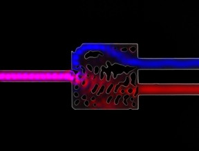 Infrared light enters this silicon structure from the left. The cut-out patterns, determined by an algorithm, route two different frequencies of this light into the pathways on the right. This is a greatly magnified image of a working device that is about the size of a speck of dust.
CREDIT
: Photo: Alexander Piggott