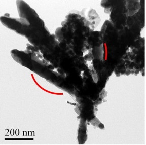 A transmission electron microscope image of the newly synthesized CoFe2C rods that contain an assembly of nanoparticles.