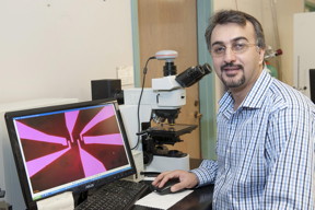 This is Amin Salehi-Khojin, UIC assistant professor of mechanical and industrial engineering.
CREDIT: Robert Dupuis-Devlin