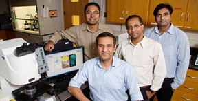 University of Illinois postdoctoral researcher Prabuddha Mukherjee, left, bioengineering professors Rohit Bhargava and Dipanjan Pan, and postdoctoral researcher Santosh Misra, right, report the development of a new class of carbon nanoparticles for biomedical use.
CREDIT: L. Brian Stauffer