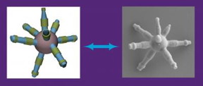 The screw-like spikes grown from a spherical silica particle depicted above may alter the internal strength of materials used in industrial coatings, 3-D printing and other additively manufactured objects.
CREDIT: ORNL