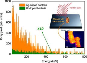 This image shows a 10,000 fold enhanced X-ray emission from nanoparticle doped bacteria, from plasma generated by intense ultra short infrared pulses.
CREDIT: Tata Institute of Fundamental Research