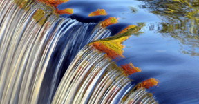 The colors of Fall can be seen reflected in a waterfall along the Blackberry River in Canaan, Connecticut REUTERS/Jessica Rinaldi