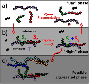 This is a schematic drawing of template-assisted ligation, shown in this model to give rise to autocatalytic systems.
CREDIT: Brookhaven National Laboratory