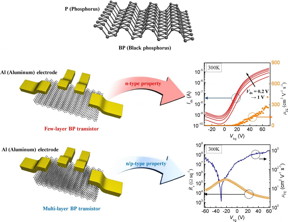 This is the atomic structure of black phosphorus and np-type transistor property of BP transistor.
CREDIT: Institute For Basic Science