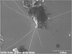 Hair-like boron nitride nanotubes intersect a sheet of graphene to create a digital switch.
CREDIT: Michigan Tech, Yoke Khin Yap