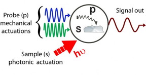 A combination of carefully tuned mechanical and photonic excitations of the sample and probe allow for decoding of chemical and physical properties.
CREDIT: ORNL