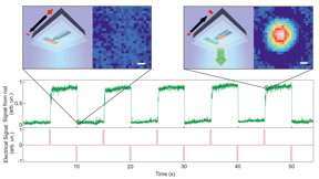 A nanorod is switched between two states -- bright (high signal) and dark (low signal) by an external electrical pulse (red trace). The state of the rod can be readout instantaneously at any time using polarized light. The rod stores the most recently written state until the arrival of the next write pulse.
CREDIT: UZH