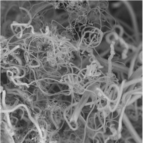 Researchers are generating carbon nanofibers (above) from CO2, removing a greenhouse gas from the air to make products.
CREDIT: Stuart Licht, Ph.D.