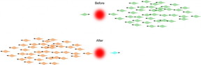 This is an artist's rendition of what occurs when one photon goes through a carefully prepared atomic medium at the same time as a pulse including many photons. Change in the colors, represents nonlinear phase shifts picked up by each pulse that is proportional to the number of photons in the other pulse. A measurable nonlinear phase shift caused by a single photon on a pulse with many photons can enable deterministic two-qubit gates, an important missing part of the optical quantum information processing hardware.
CREDIT: Amir Feizpour